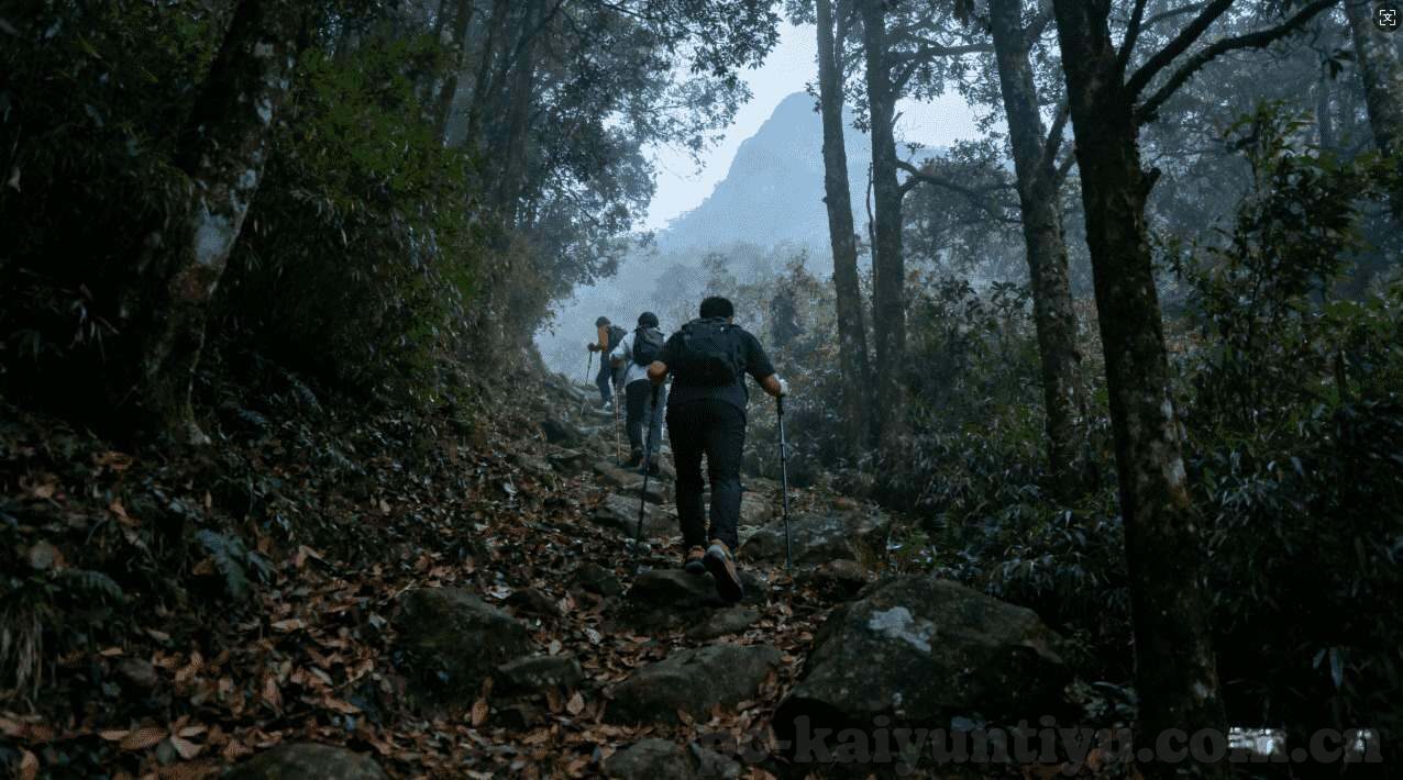 世界杯中冷门最高奖励-世界杯中的冷门与最高奖励，惊喜与荣耀的交响曲