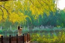 苏格兰俄罗斯足球比分-苏格兰与俄罗斯足球对决，比分背后的历史、策略与激情碰撞